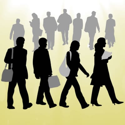 Picture of Professionl People