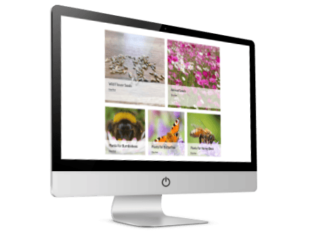 Online Retail Website Design