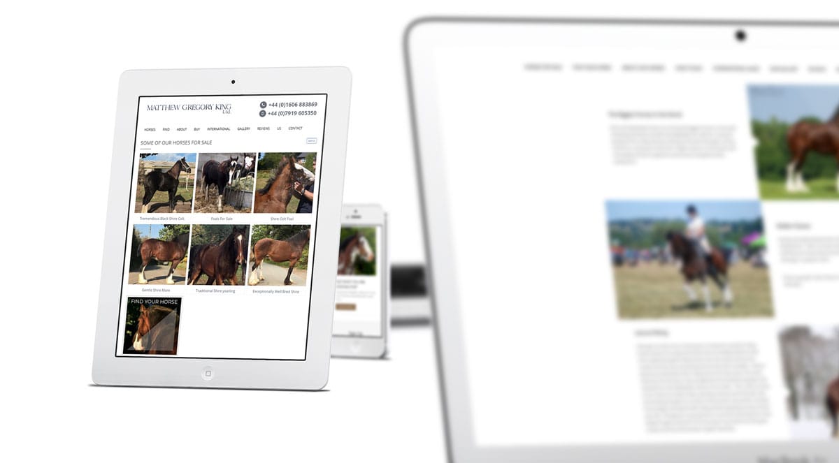 Horses for Sale Website Design