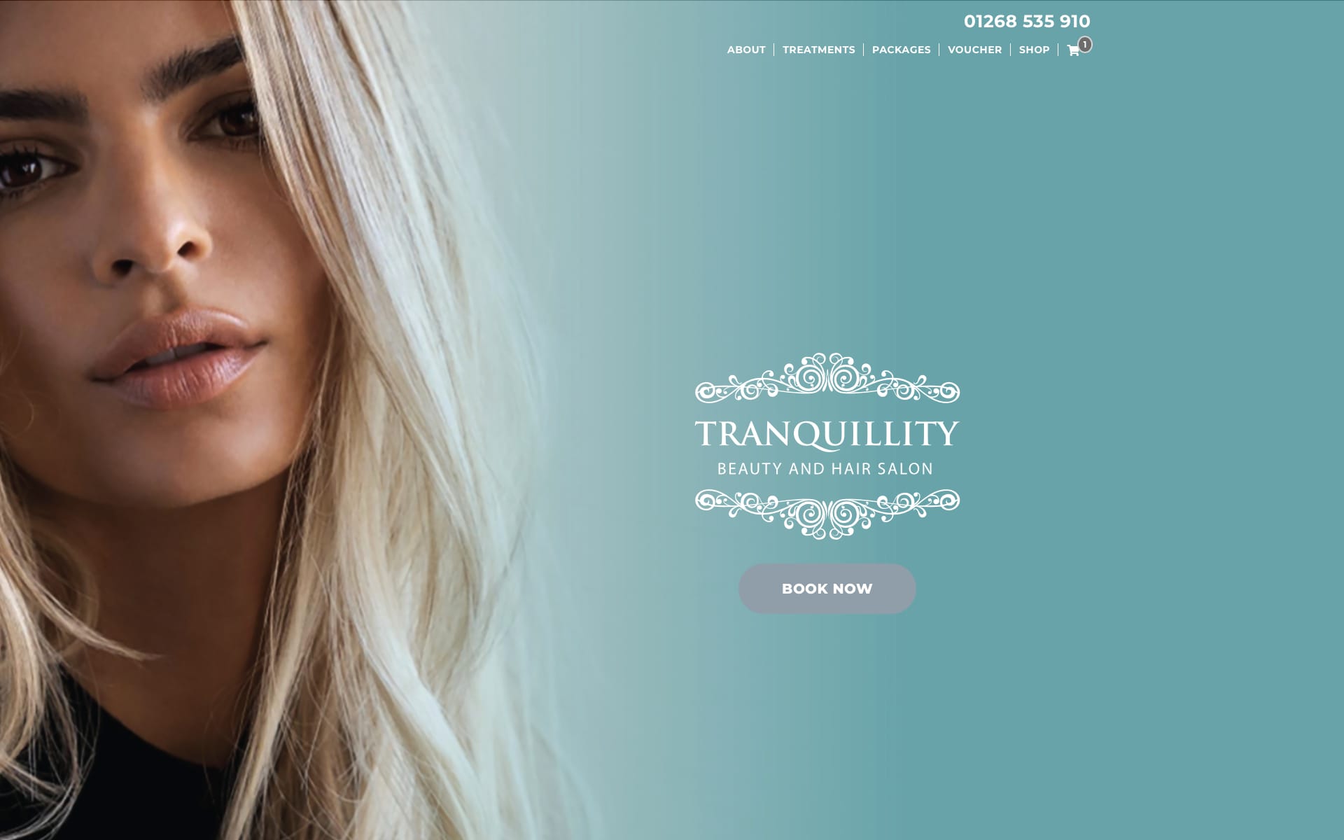 Beauty and Hair Salon Website Design