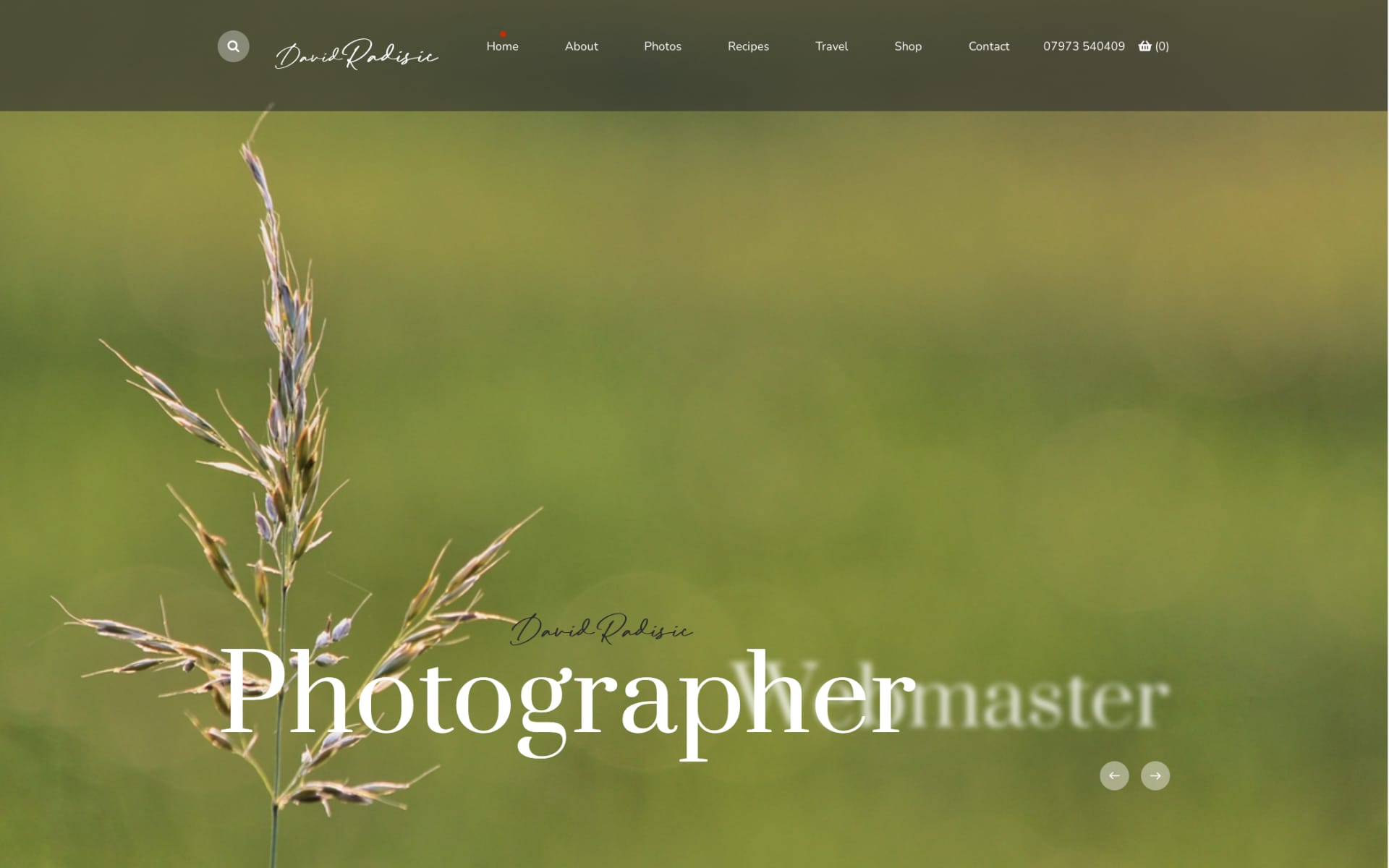 Photography Website Design