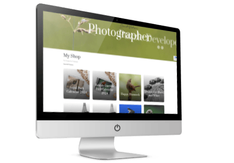 Art and Photography Website Design