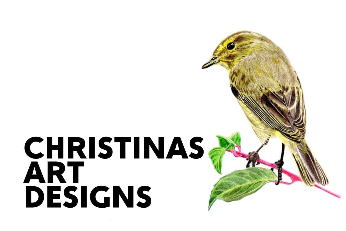 Artist Website Design