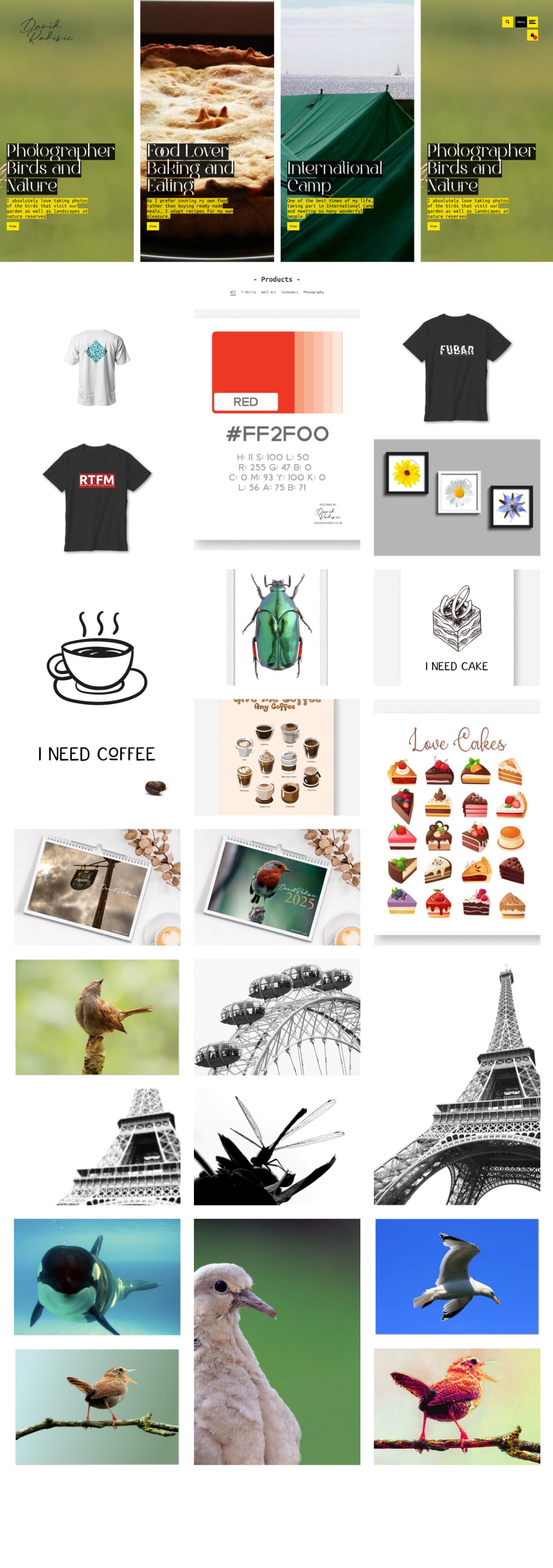 Art and Photography Website Design