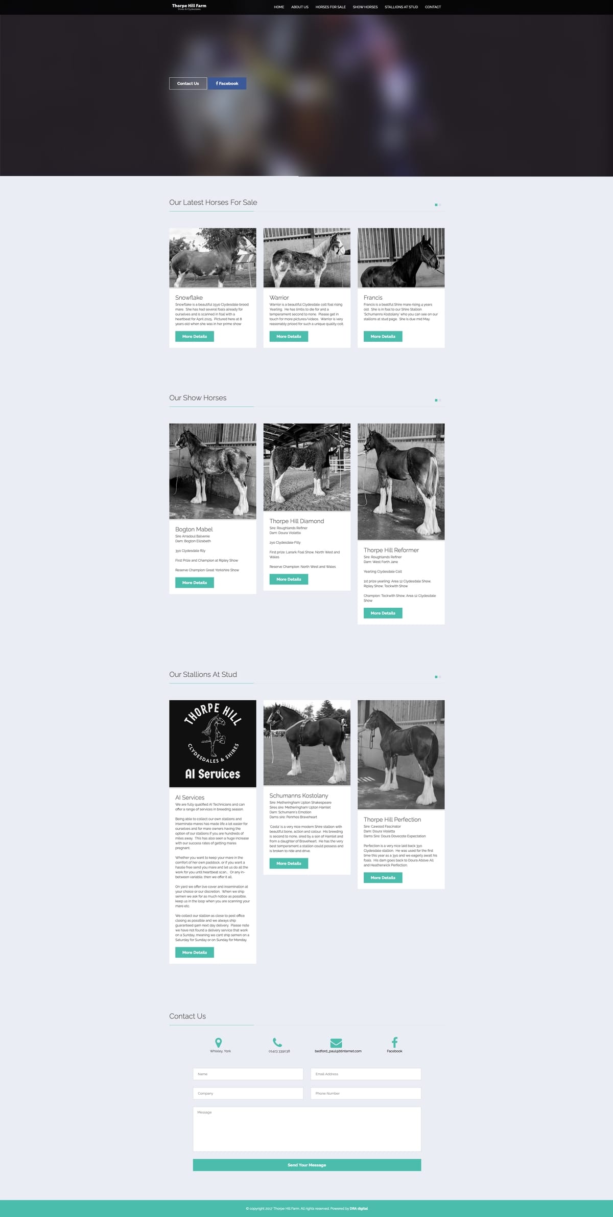 Horse Breeding Company Website Design