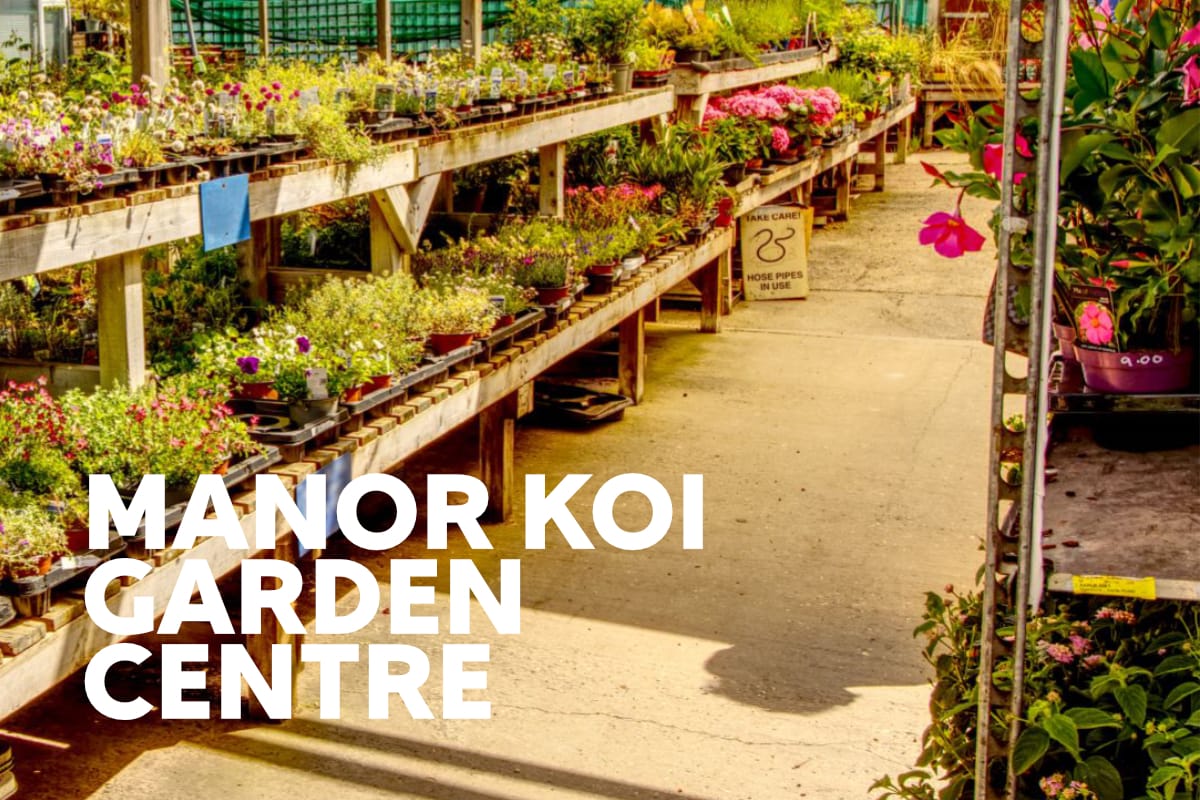 Garden Centre and Fish Sales Website Design