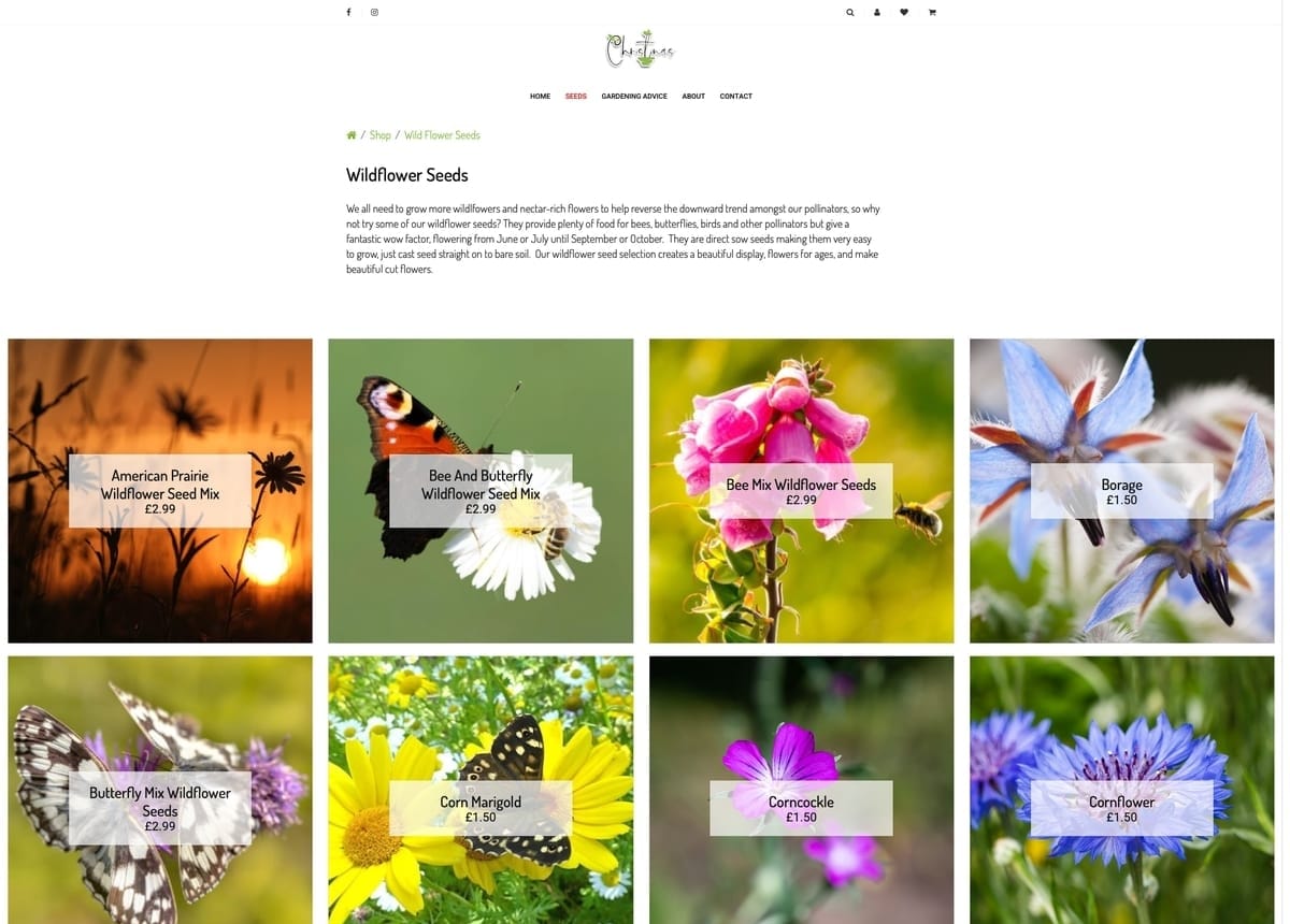 Christinas Wildflower Seeds Quote