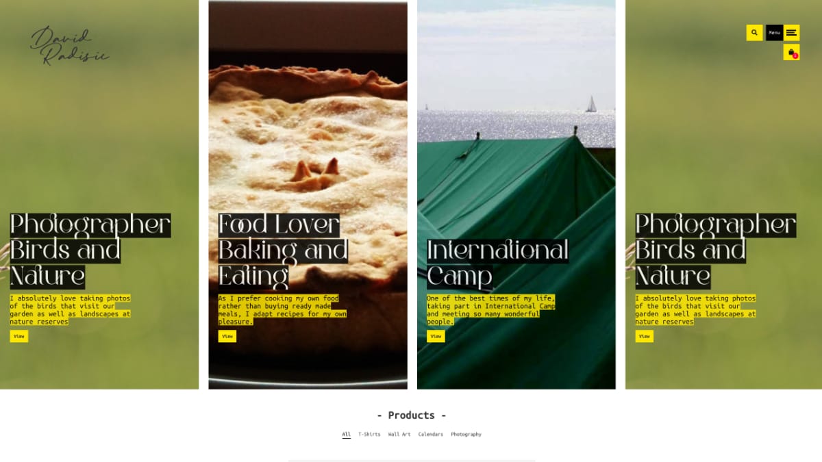Crafting David Radisics Unique E-commerce And Portfolio Website